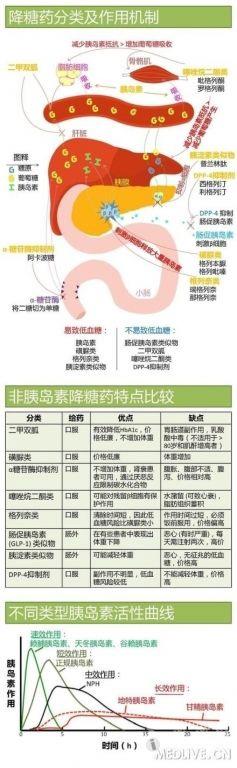 一张图了解降糖药包括降糖药分类及其作用机制非胰岛素类降糖药的优