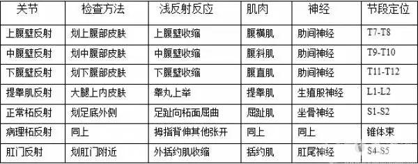 浅反射