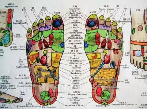 足疗反射区图片,大家一起学习交流
