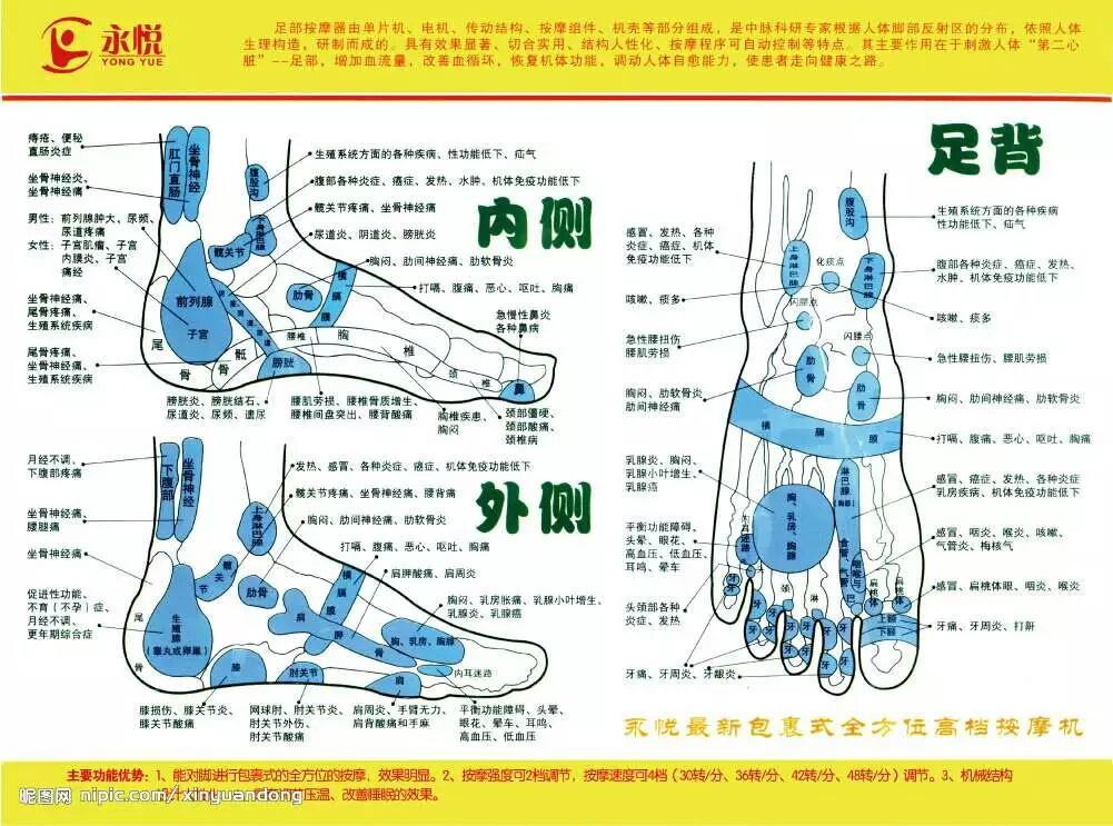 足疗反射区图片,大家一起学习交流