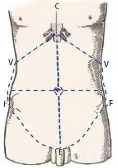手把手教你学习腹部解剖