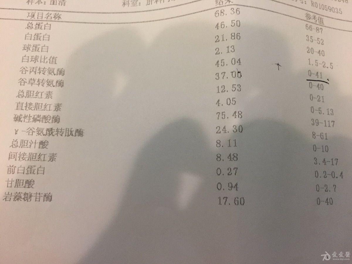 请各位老师看看我的验血报告,有什么问题?