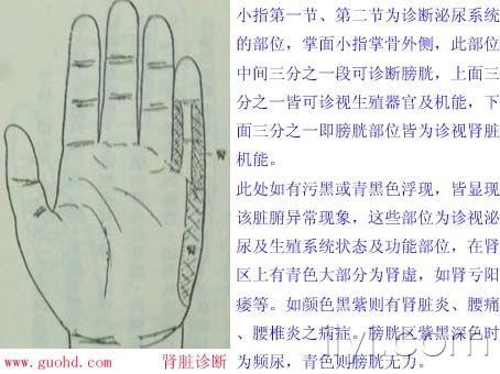 整理后的《董氏掌诊》