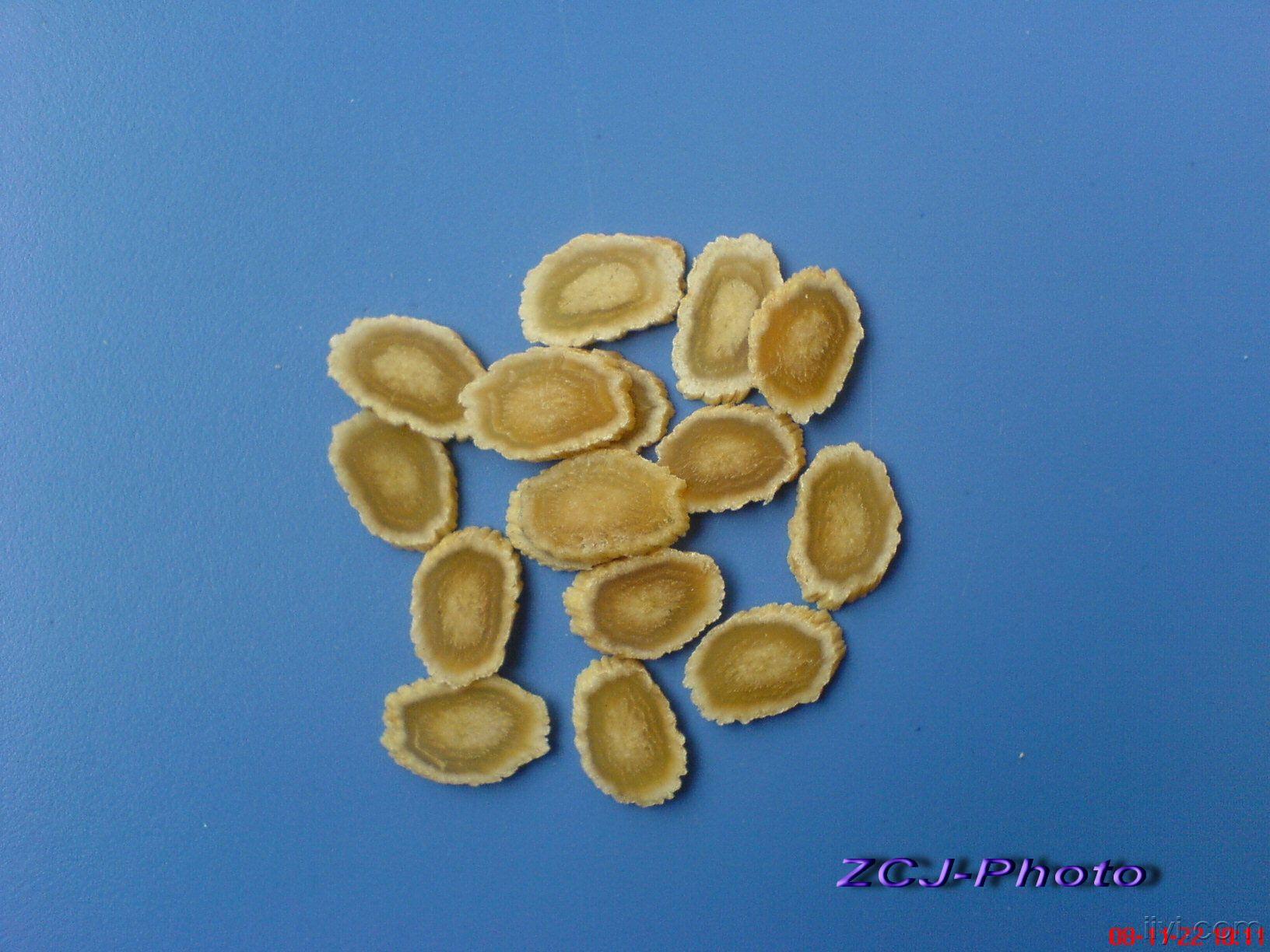 大力参药材,饮片欣赏[原创图片]