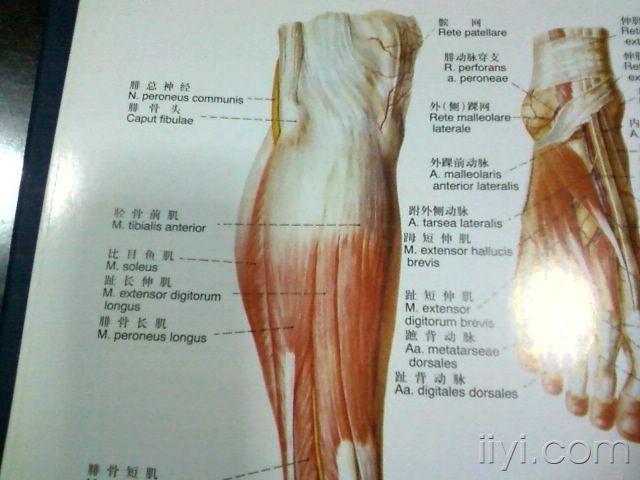 右胫骨内侧平台骨折