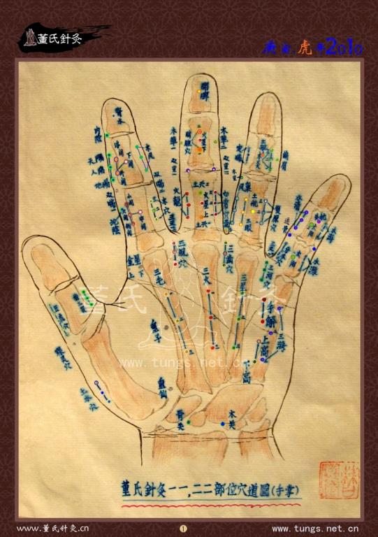 董氏奇穴图精品 多吉老师手工绘制