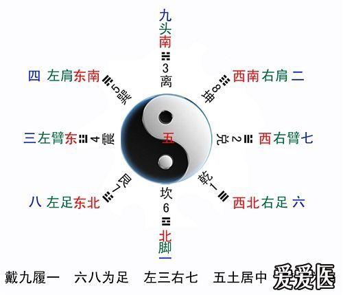 脐针八卦全息图图片