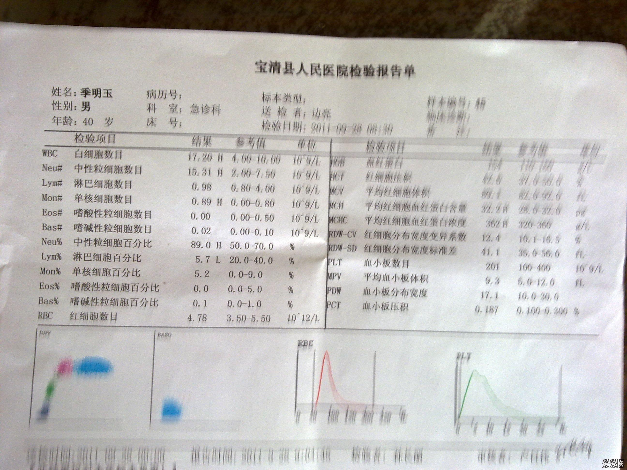 尿沉渣检查图片