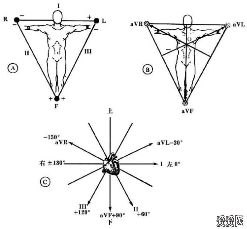 看图学心电02心电轴测量