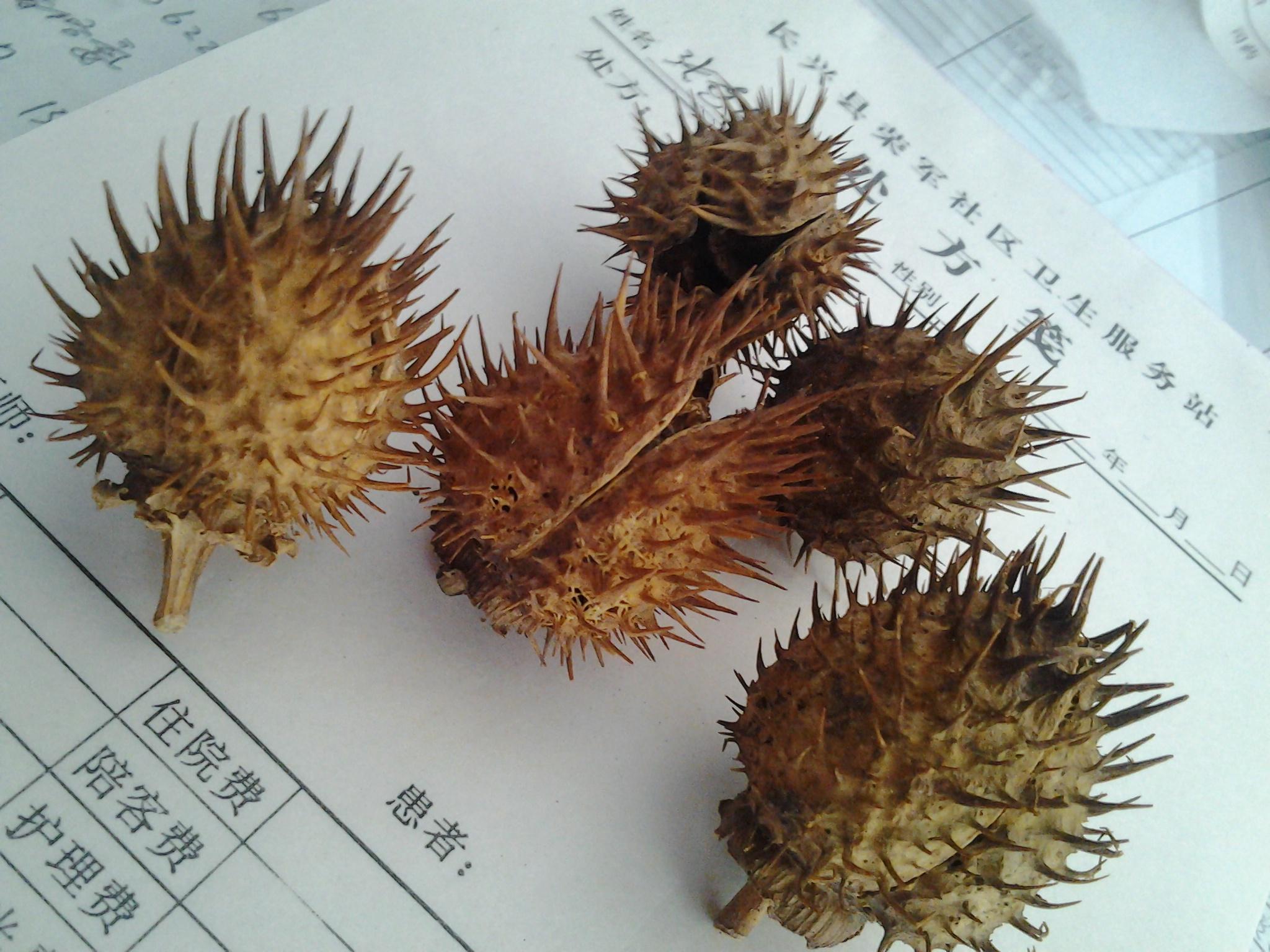 看图片,这是什么药?