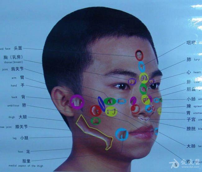 人脸器官图图片
