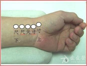 手腕高骨退烧图图片