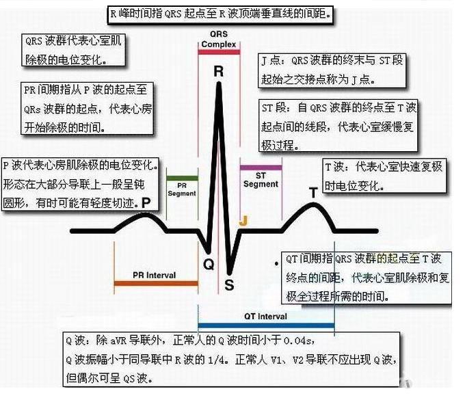 心电图网名图片