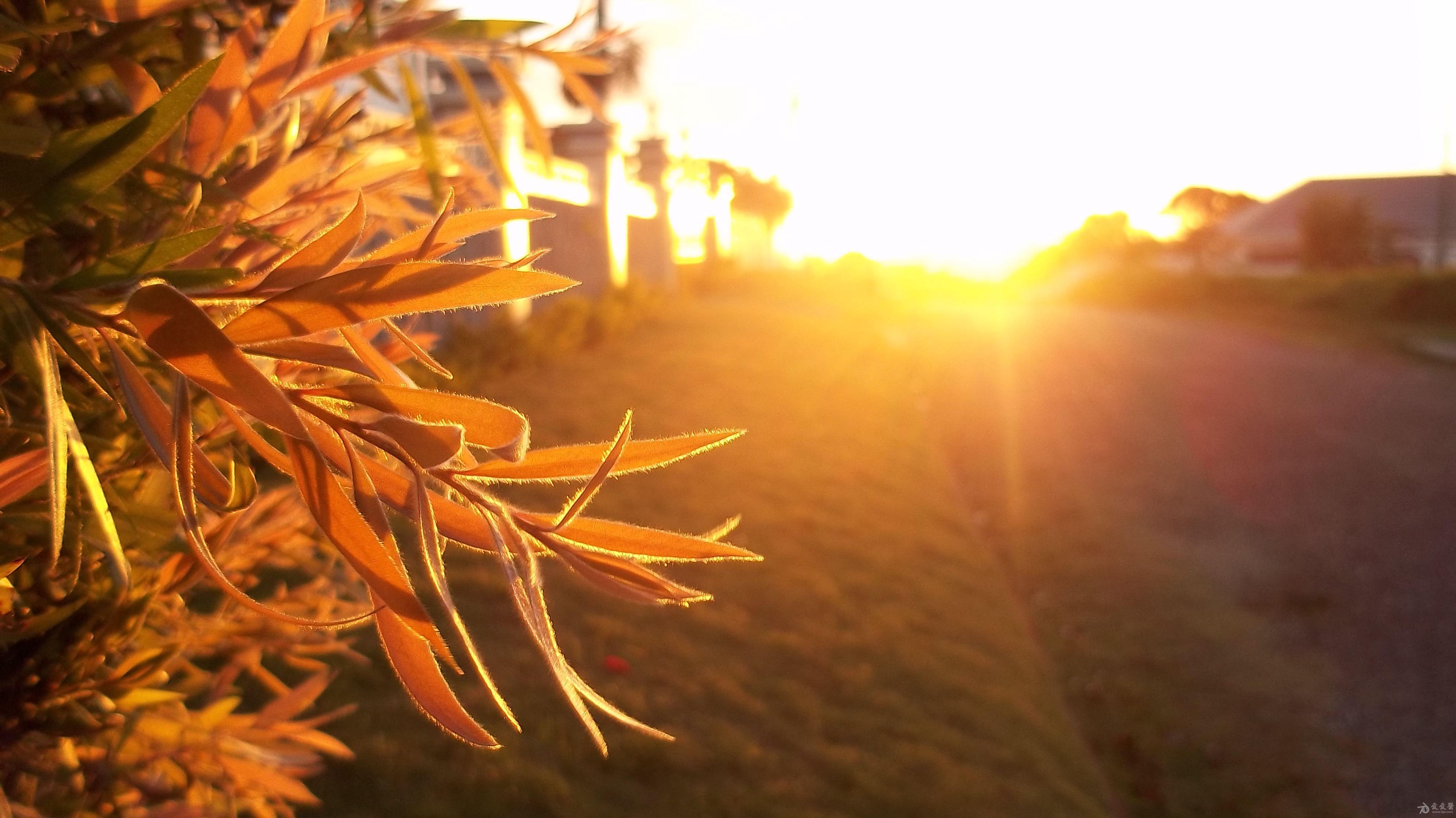 ubuntu 电脑系统精典桌面