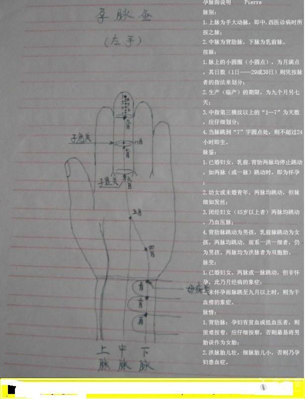 孕脉怎么把图解图片