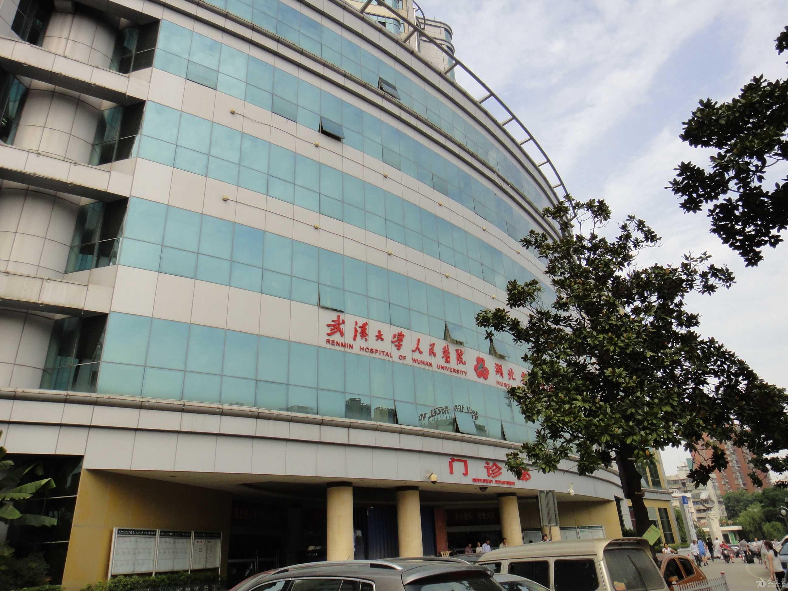 我进修的医院一角--湖北省人民医院