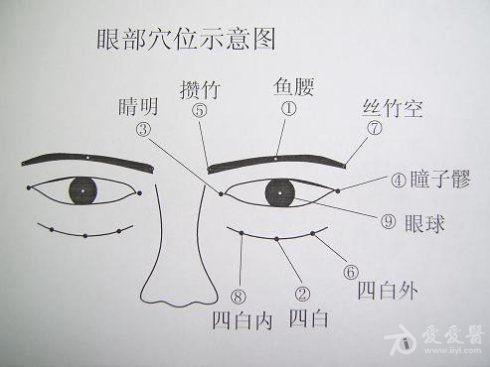 高血壓,低血壓,失眠,中風,偏癱,感冒,癲癇,頸項強直疼痛,惱動脈硬化