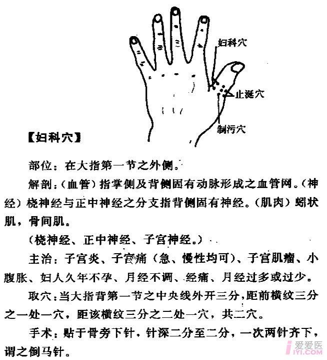 妇科对应的经络图图片