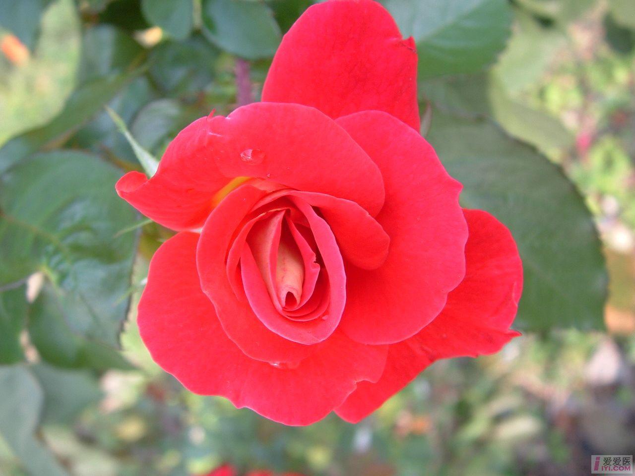 DSCF0056.JPG