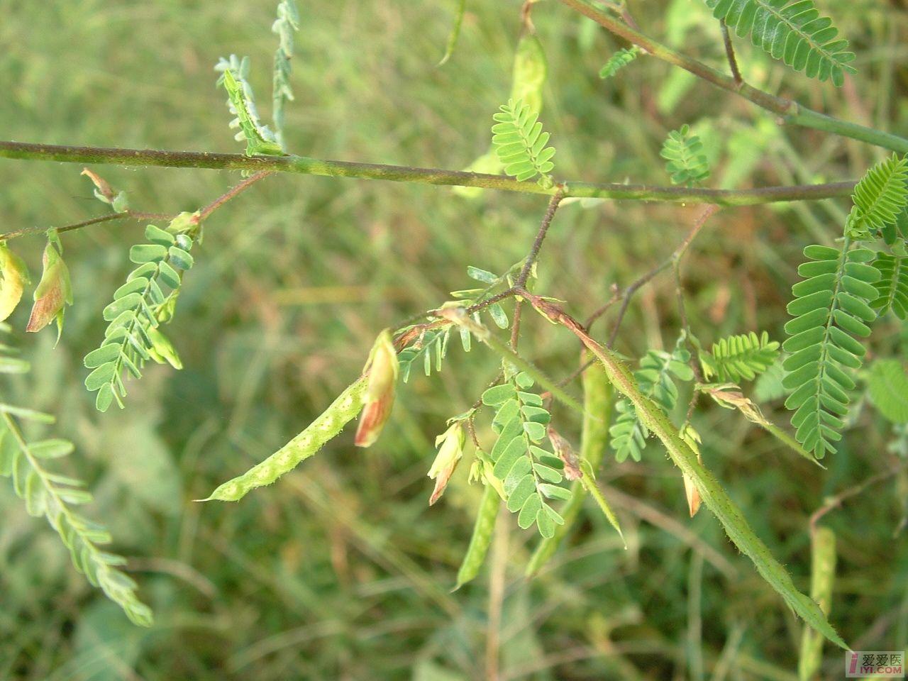 DSCF0103.JPG