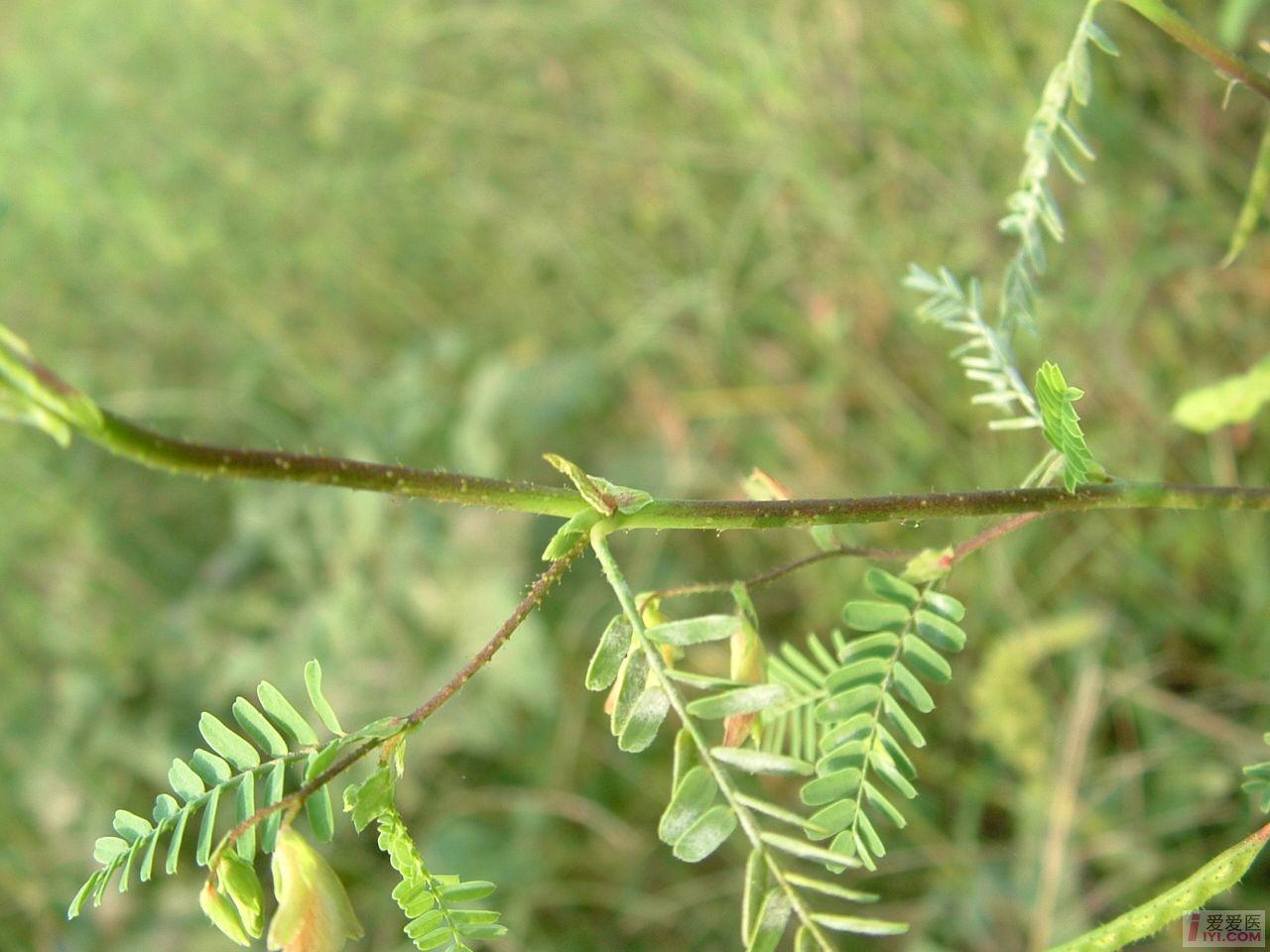 DSCF0104.JPG