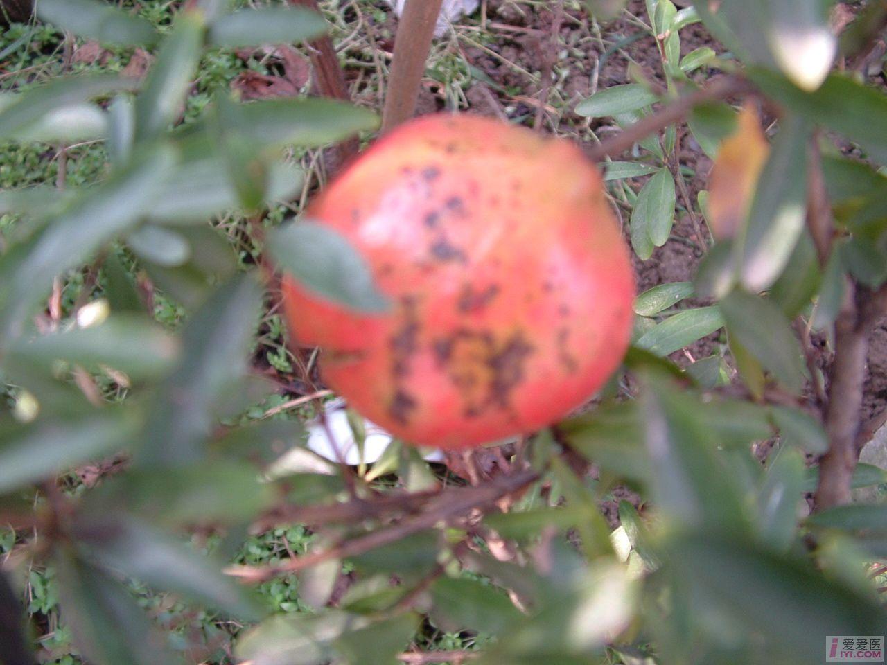DSCF0107.JPG