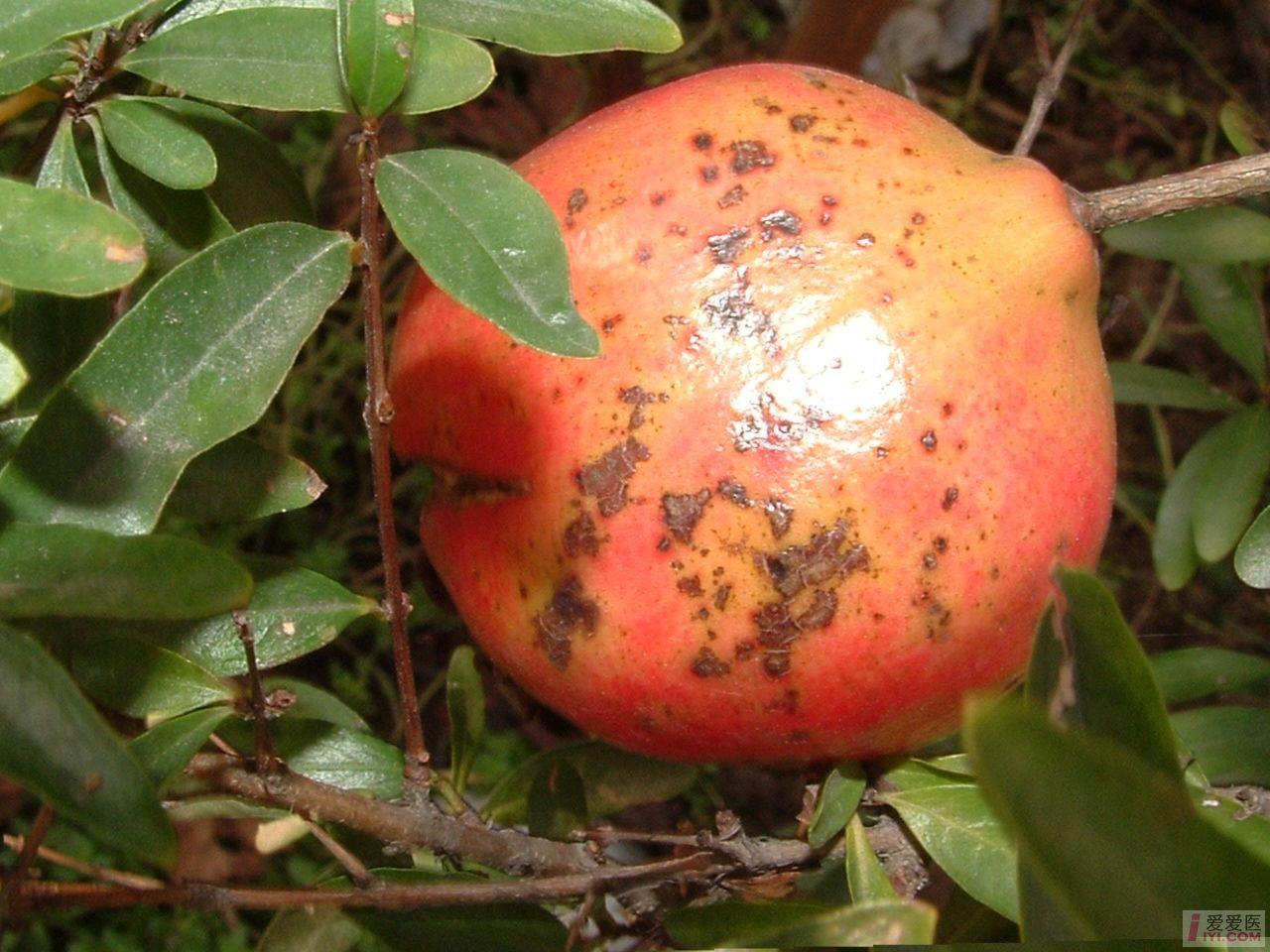 DSCF0108.JPG