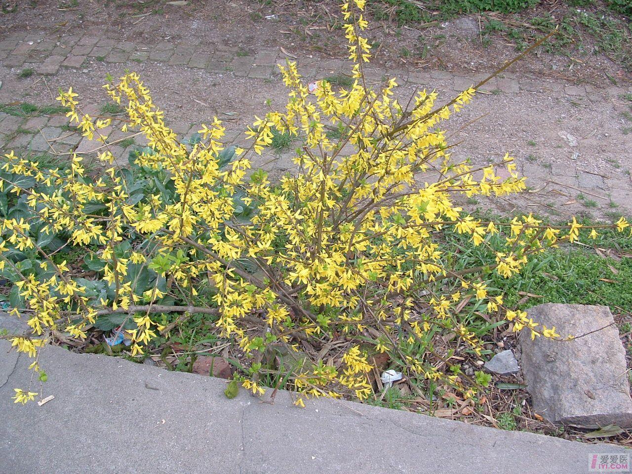 2005_0405ͼ��0001.JPG