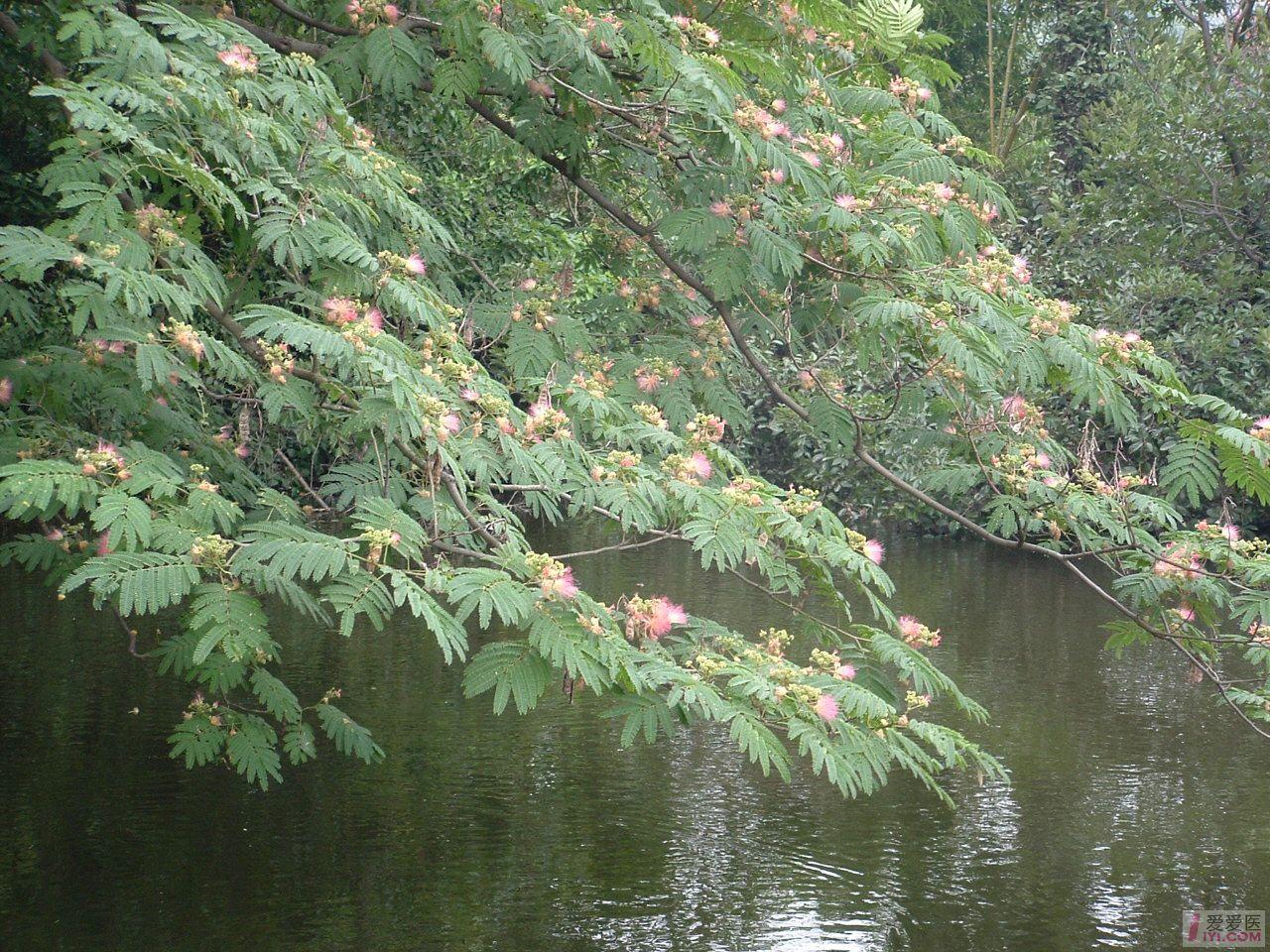 DSCF0023.JPG