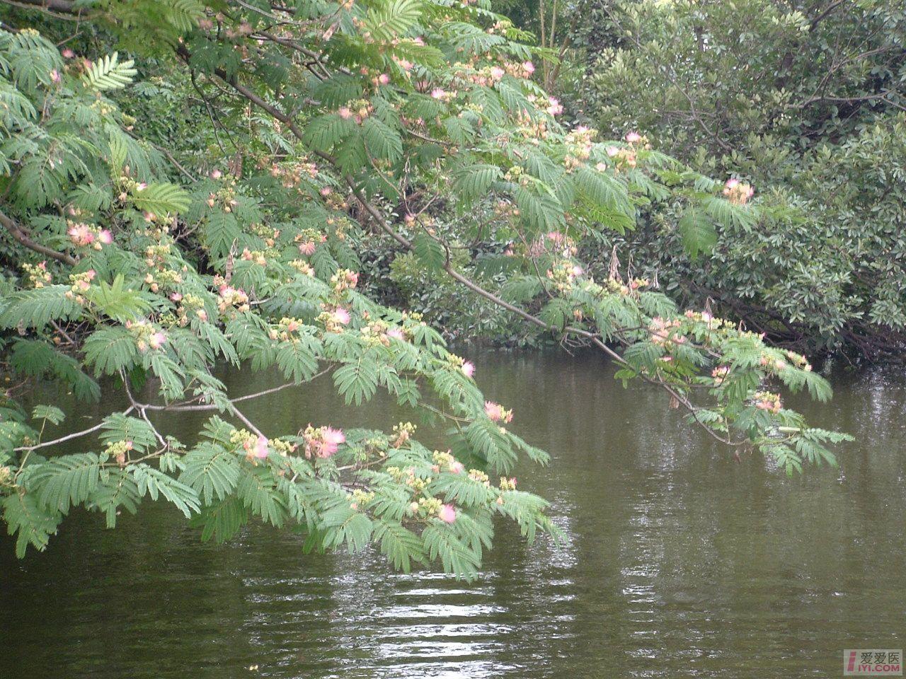 DSCF0024.JPG