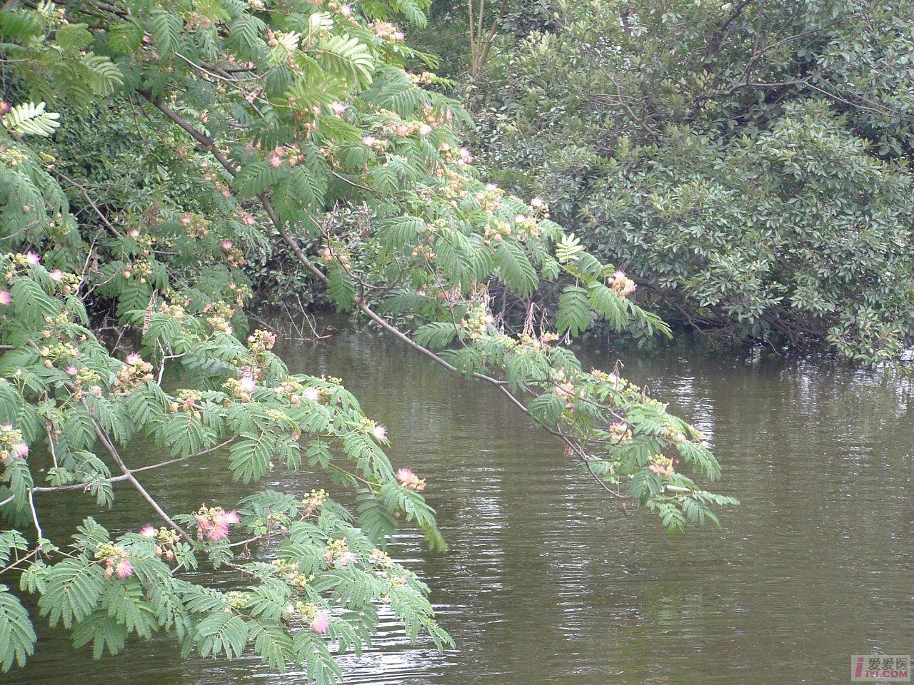DSCF0025.JPG