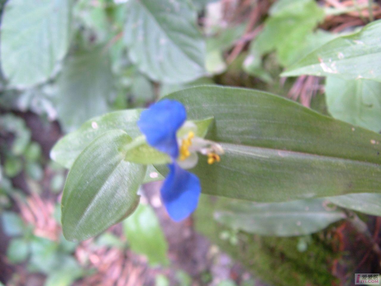 DSCF0094.JPG