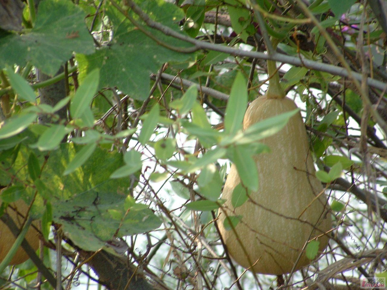 DSCF0113.JPG