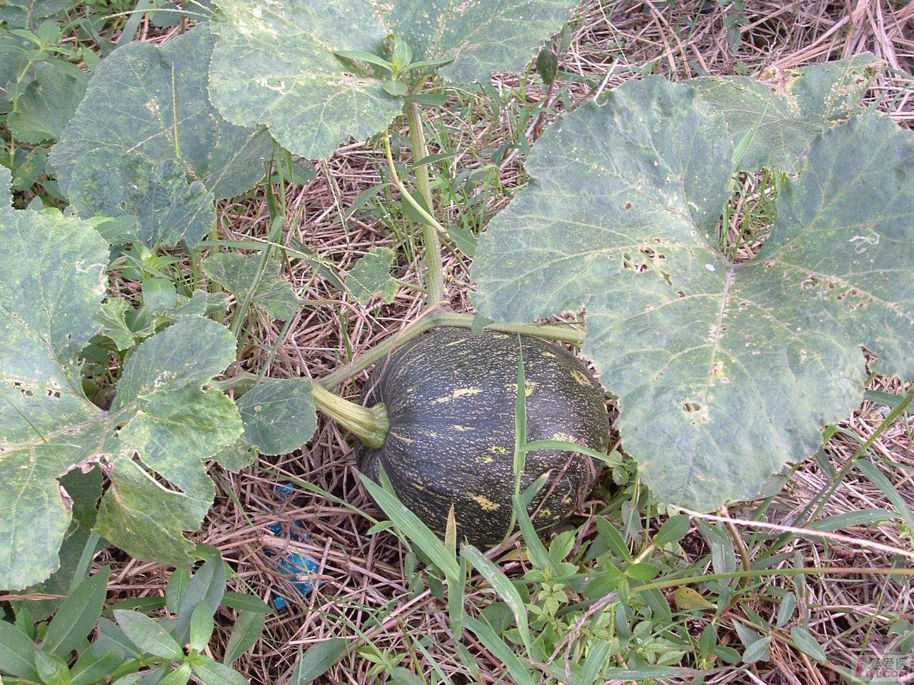 DSCF0152.JPG