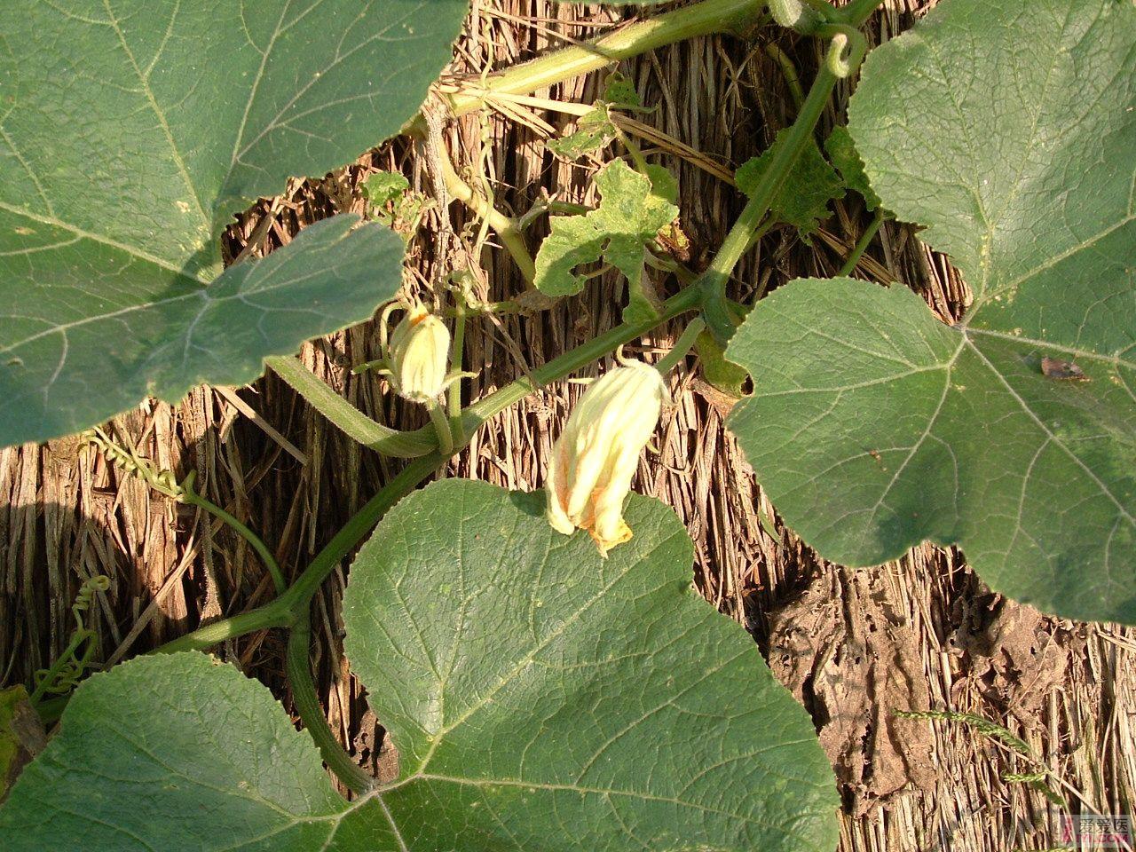 DSCF0153.JPG