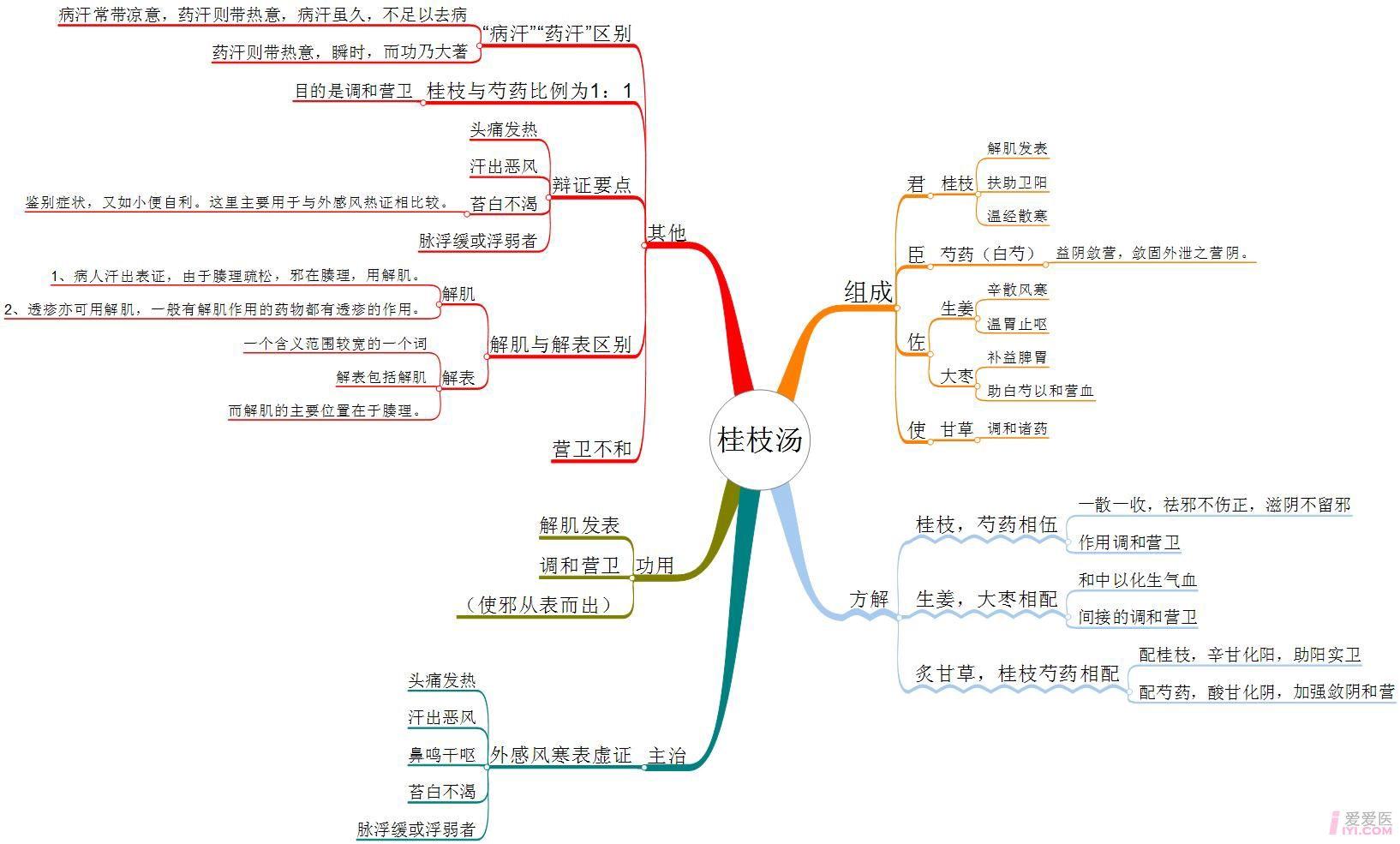桂枝汤思维导图
