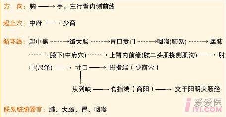 經脈循行圖gif格式