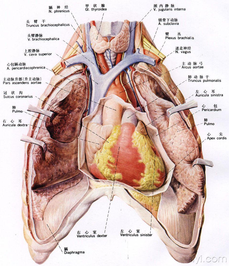 来点学习的东西更新拉212