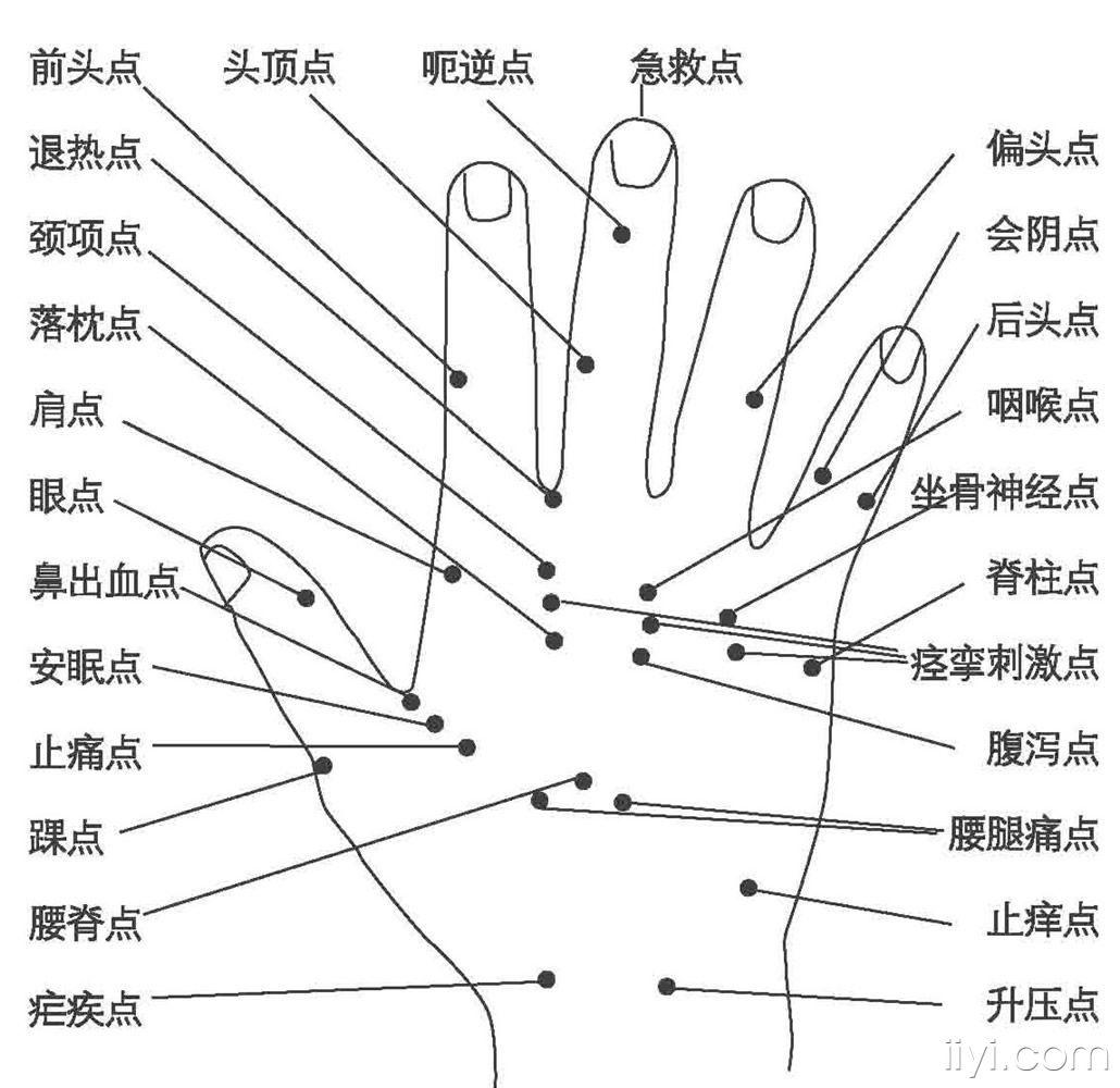 手部病理反映点