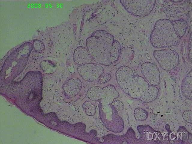 20080531_c20dcac20ba60e469c68rjcwqHYBujLE.jpg