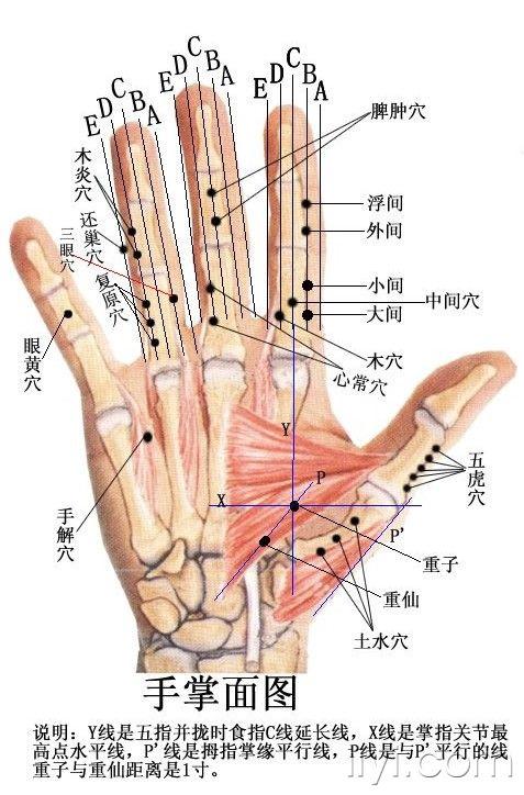 董氏奇穴治疗肩周炎