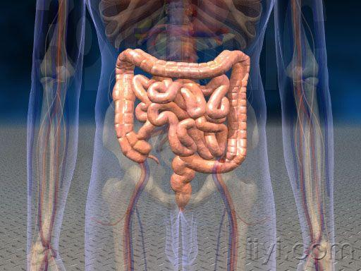 f201505_largeintestineperistalsis1.jpg