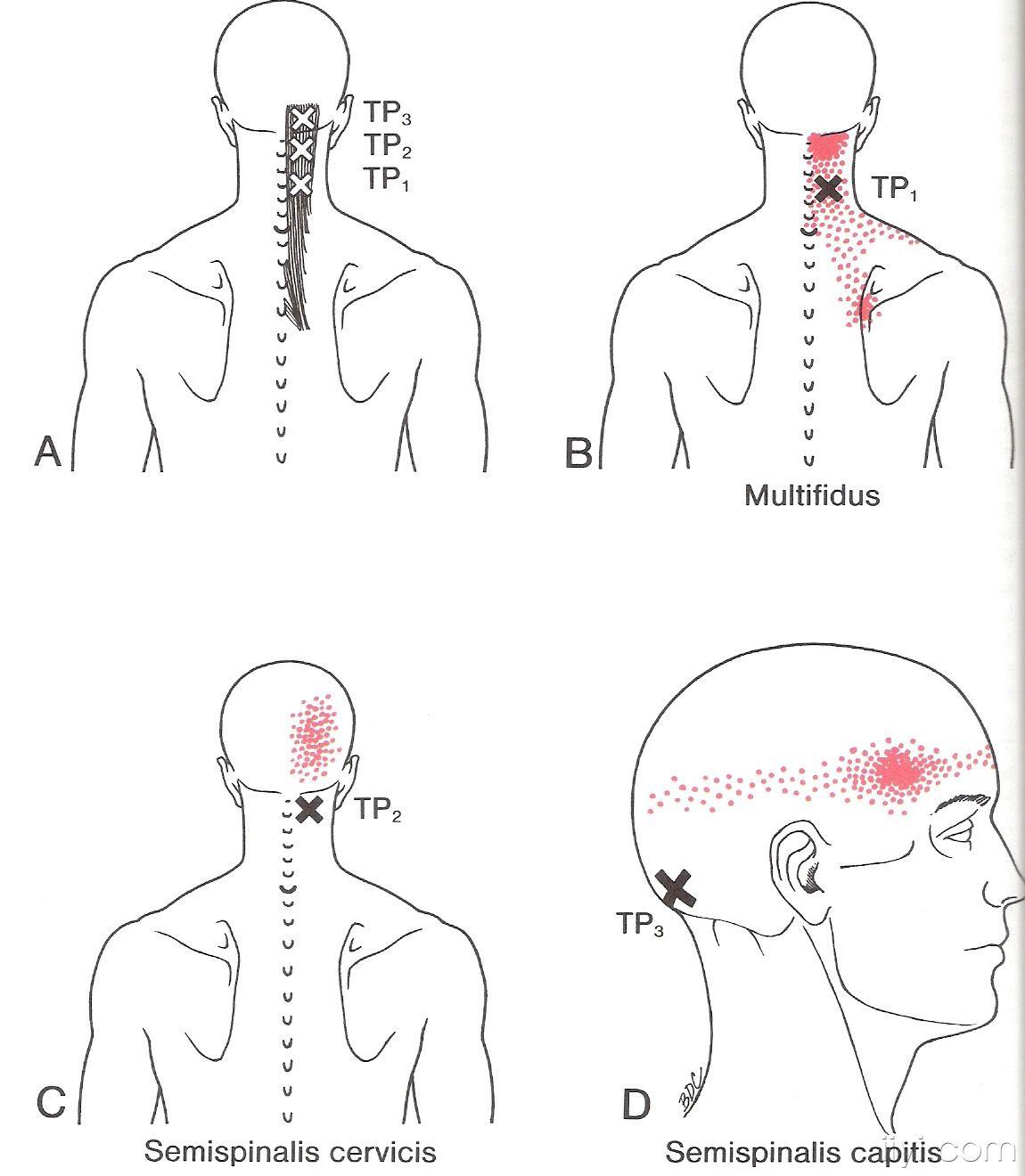 今天先发10张,一共100张左右