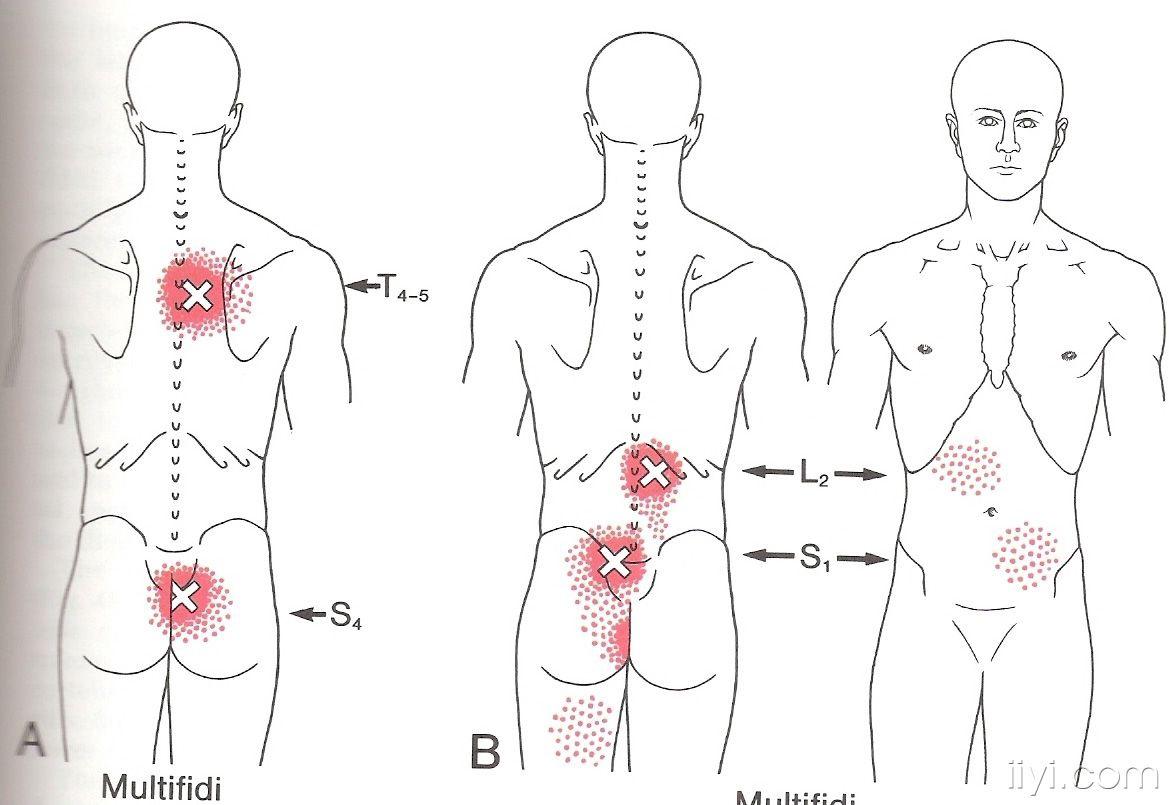 今天先发10张一共100张左右