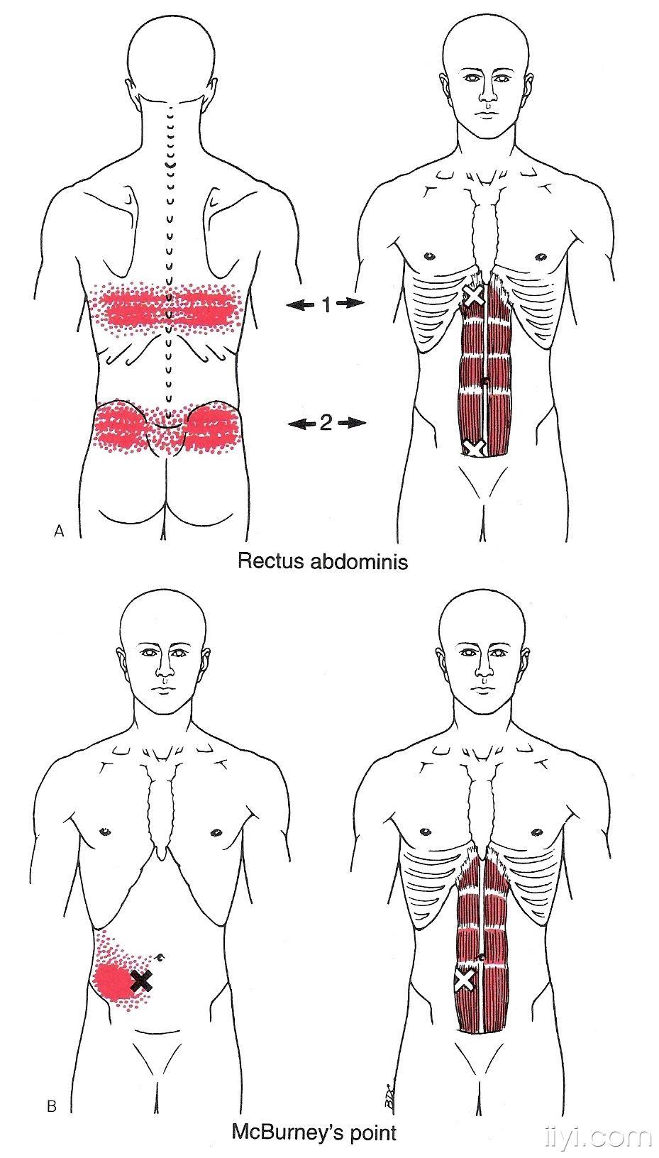 今天先发10张一共100张左右