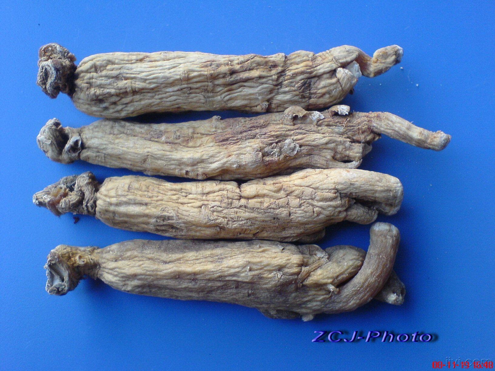 大力参药材饮片欣赏原创图片