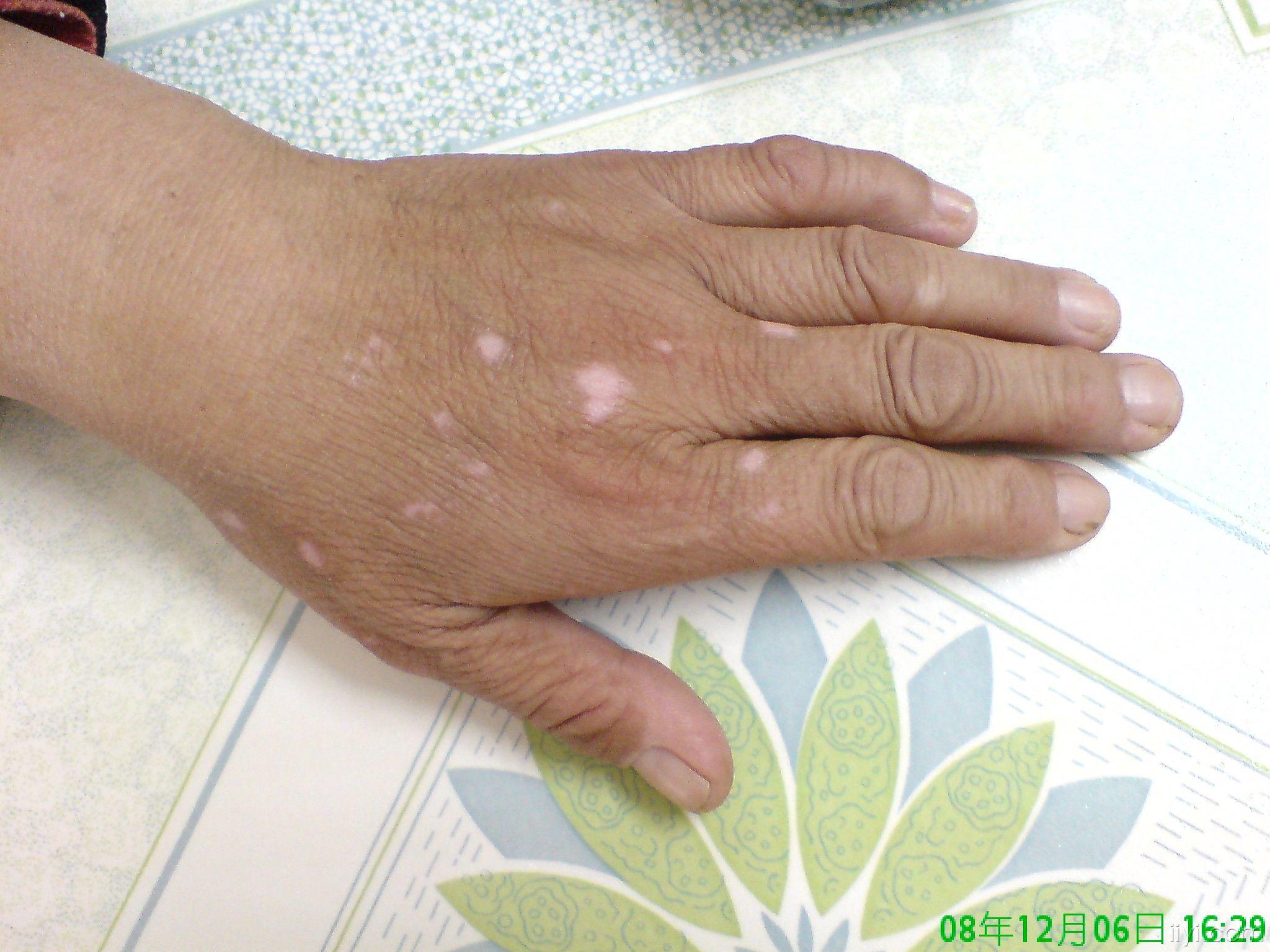 20081217_bab0fc3331314106b496Gc8vtjtuN2iY.jpg