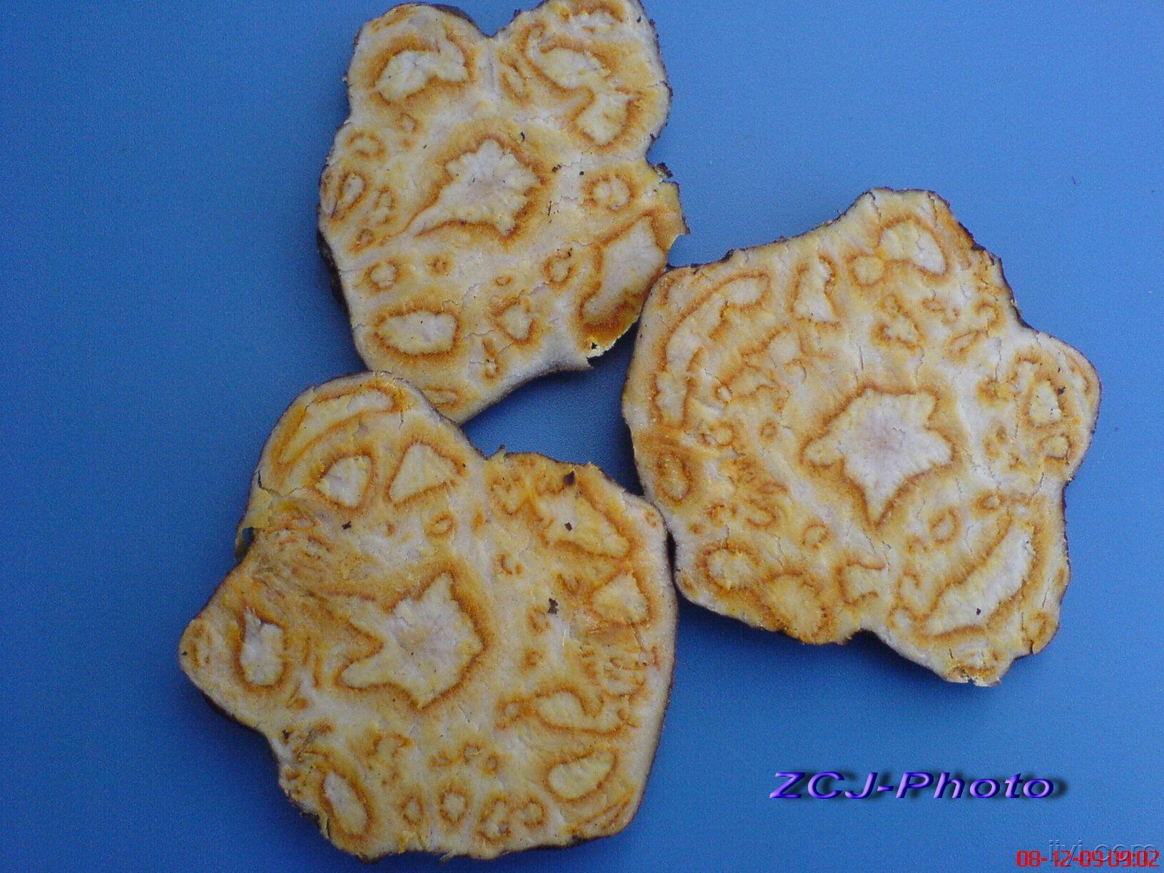 何首乌饮片(鲜药,横切片) (6).jpg