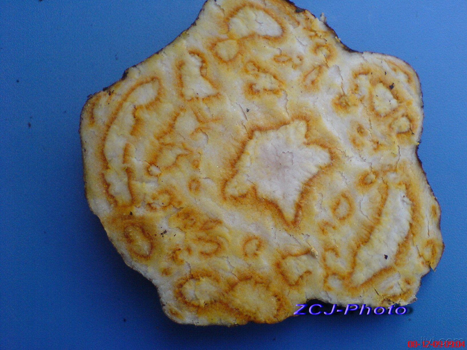 何首乌饮片(鲜药,横切片) (10).jpg