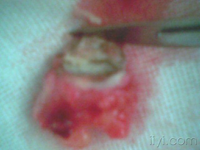 PIC0491A.jpg